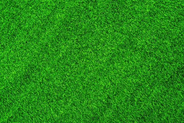 Green Grass Texture Background Grass Garden Concept Used Making Green — Photo