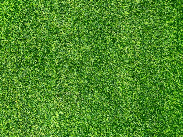 Verde Hierba Textura Fondo Hierba Jardín Concepto Utilizado Para Hacer — Foto de Stock