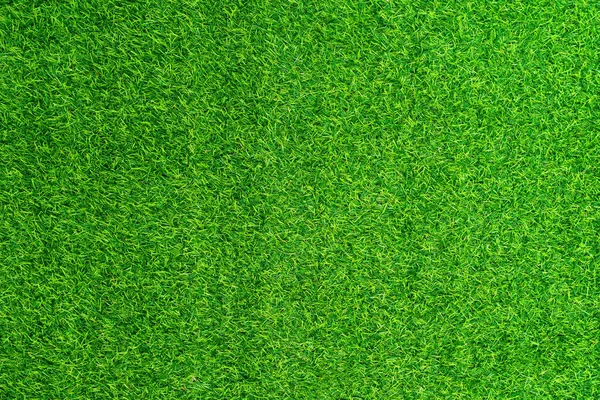 Verde Hierba Textura Fondo Hierba Jardín Concepto Utilizado Para Hacer — Foto de Stock