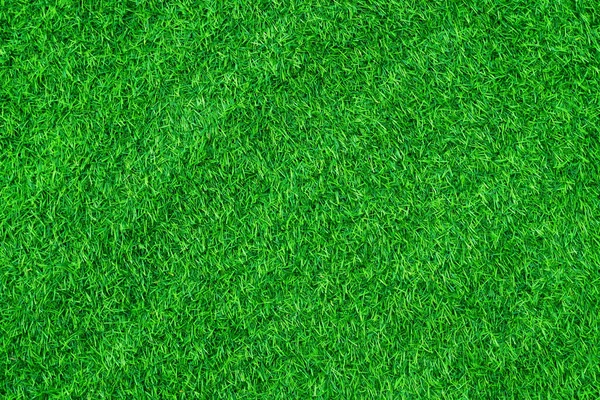 Zielona Trawa Tekstura Tło Trawa Ogród Koncepcja Stosowana Tworzenia Zielonego — Zdjęcie stockowe