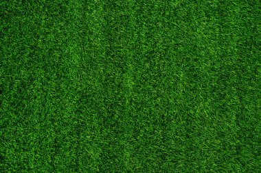 Green grass texture background grass garden concept used for making green background football pitch, Grass Golf, green lawn pattern textured background.	