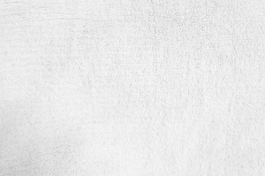 White clean wool texture background. light natural sheep wool. white seamless cotton. texture of fluffy fur for designers. close-up fragment white wool carpet.	