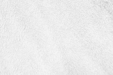 White clean wool texture background. light natural sheep wool. white seamless cotton. texture of fluffy fur for designers. close-up fragment white wool carpet.	