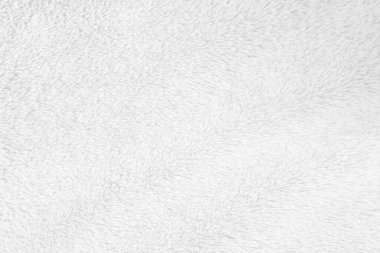White clean wool texture background. light natural sheep wool. white seamless cotton. texture of fluffy fur for designers. close-up fragment white wool carpet.	
