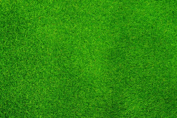 Zöld Textúra Háttér Kert Koncepció Használják Hogy Zöld Háttér Futballpálya — Stock Fotó