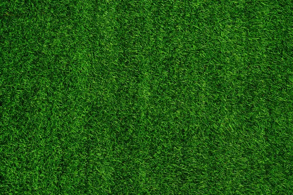 Green grass texture background grass garden concept used for making green background football pitch, Grass Golf, green lawn pattern textured background.	