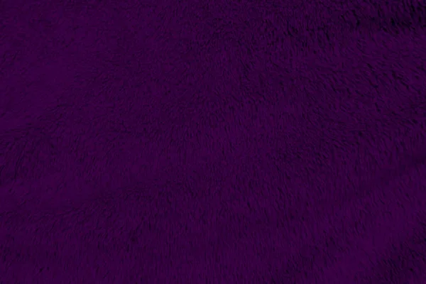 Purple Clean Wool Texture Background Light Natural Sheep Wool White — Foto de Stock
