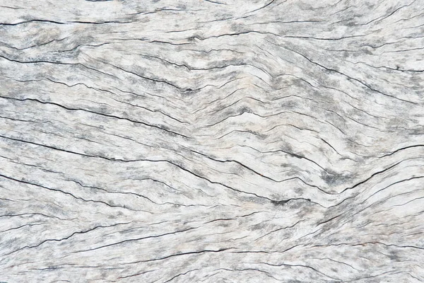 Eski ahşap kaplama çatlağı, gri-beyaz ton. Duvar kağıdı veya arkaplan resmi için bunu kullanın. Metin için boş bir boşluk var.