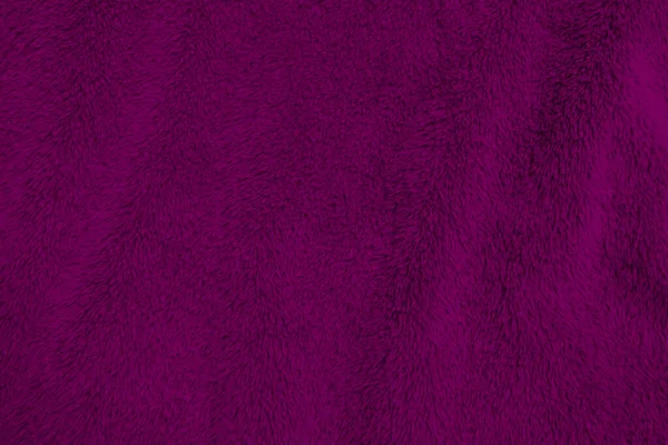 Violet Clean Wool Texture Background Light Natural Sheep Wool Purple — Foto de Stock