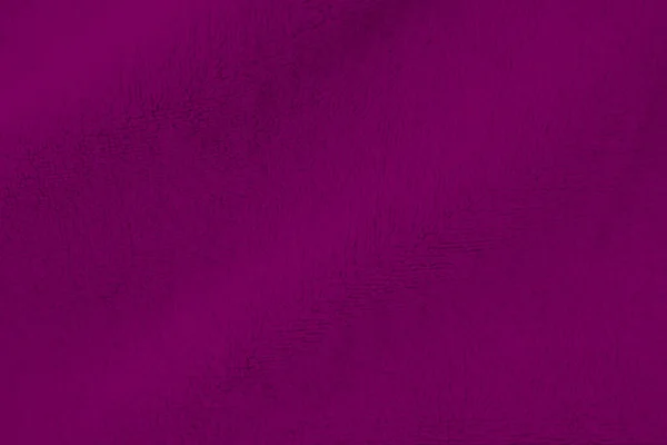 Violet Clean Wool Texture Background Light Natural Sheep Wool Purple — Foto Stock