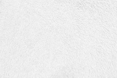 Beyaz, temiz yün dokusu arka planda. hafif doğal koyun yünü. Beyaz, pürüzsüz pamuk. Tasarımcılar için tüylü kürk dokusu. yakın plan beyaz yün halı.