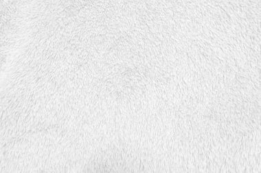 White clean wool texture background. light natural sheep wool. white seamless cotton. texture of fluffy fur for designers. close-up fragment white wool carpet.	