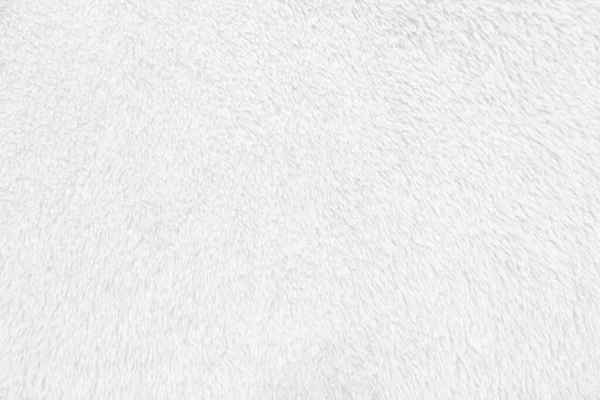 Beyaz, temiz yün dokusu arka planda. hafif doğal koyun yünü. Beyaz, pürüzsüz pamuk. Tasarımcılar için tüylü kürk dokusu. yakın plan beyaz yün halı.