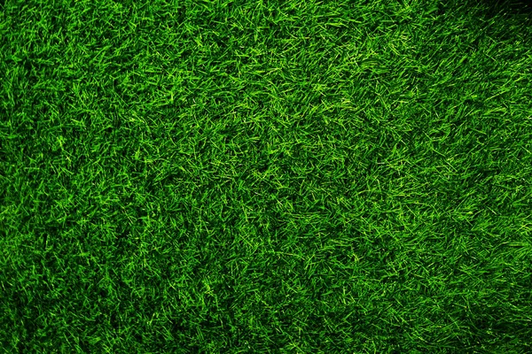 Green grass texture background grass garden concept used for making green background football pitch, Grass Golf, green lawn pattern textured background.	