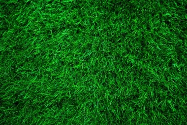 Green grass texture background grass garden concept used for making green background football pitch, Grass Golf, green lawn pattern textured background.	