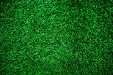 Green grass texture background grass garden concept used for making green background football pitch, Grass Golf, green lawn pattern textured background.	