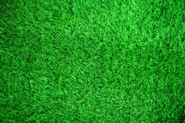 Green grass texture background grass garden concept used for making green background football pitch, Grass Golf, green lawn pattern textured background.	