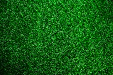 Green grass texture background grass garden concept used for making green background football pitch, Grass Golf, green lawn pattern textured background.	