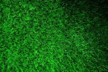 Green grass texture background grass garden concept used for making green background football pitch, Grass Golf, green lawn pattern textured background.	