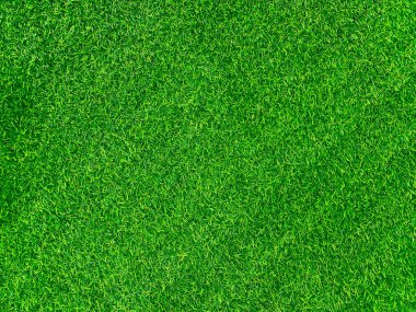 Green grass texture background grass garden concept used for making green background football pitch, Grass Golf, green lawn pattern textured background.	