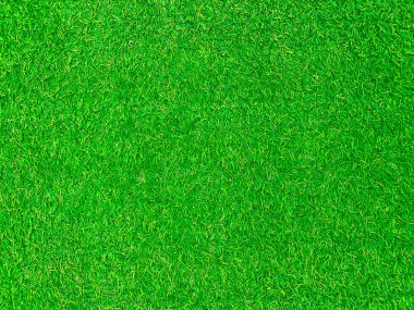 Green grass texture background grass garden concept used for making green background football pitch, Grass Golf, green lawn pattern textured background.	