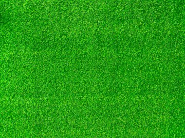 Green grass texture background grass garden concept used for making green background football pitch, Grass Golf, green lawn pattern textured background.	