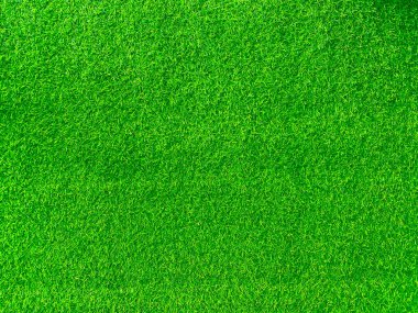 Green grass texture background grass garden concept used for making green background football pitch, Grass Golf, green lawn pattern textured background.	