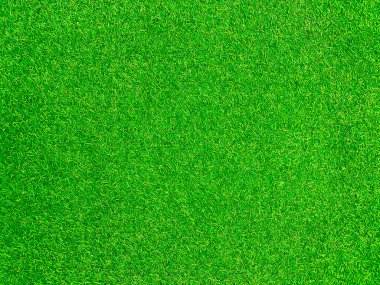 Green grass texture background grass garden concept used for making green background football pitch, Grass Golf, green lawn pattern textured background.	