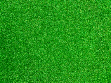 Green grass texture background grass garden concept used for making green background football pitch, Grass Golf, green lawn pattern textured background.	