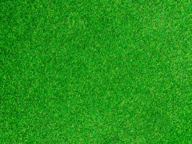 Green grass texture background grass garden concept used for making green background football pitch, Grass Golf, green lawn pattern textured background.	