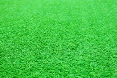 Green grass texture background grass garden concept used for making green background football pitch, Grass Golf, green lawn pattern textured background.	