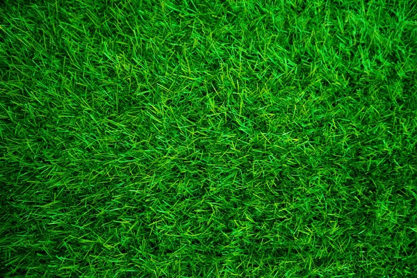 Green grass texture background grass garden concept used for making green background football pitch, Grass Golf, green lawn pattern textured background.	