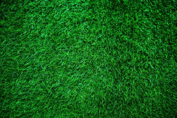 Green grass texture background grass garden concept used for making green background football pitch, Grass Golf, green lawn pattern textured background.	