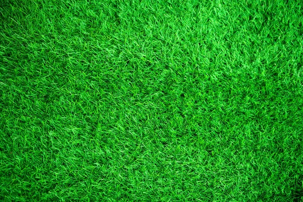 Green Grass Texture Background Grass Garden Concept Used Making Green — Fotografia de Stock