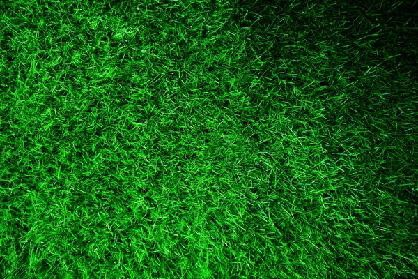 Green grass texture background grass garden concept used for making green background football pitch, Grass Golf, green lawn pattern textured background.	