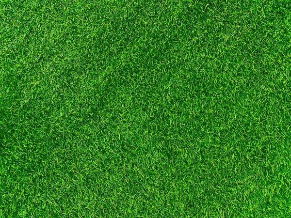 Green Grass Texture Background Grass Garden Concept Used Making Green — Foto Stock