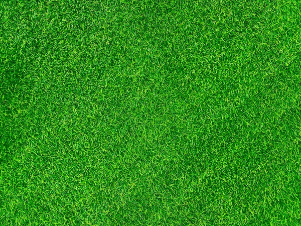 Green Grass Texture Background Grass Garden Concept Used Making Green — Fotografia de Stock