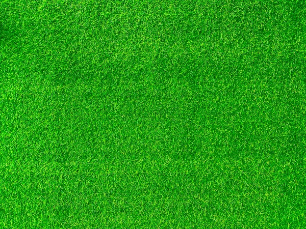 Green Grass Texture Background Grass Garden Concept Used Making Green — Stockfoto