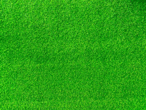 Green Grass Texture Background Grass Garden Concept Used Making Green — Stockfoto