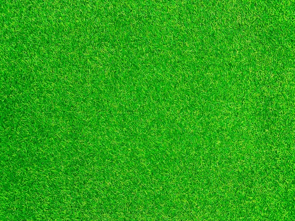 Green grass texture background grass garden concept used for making green background football pitch, Grass Golf, green lawn pattern textured background.	