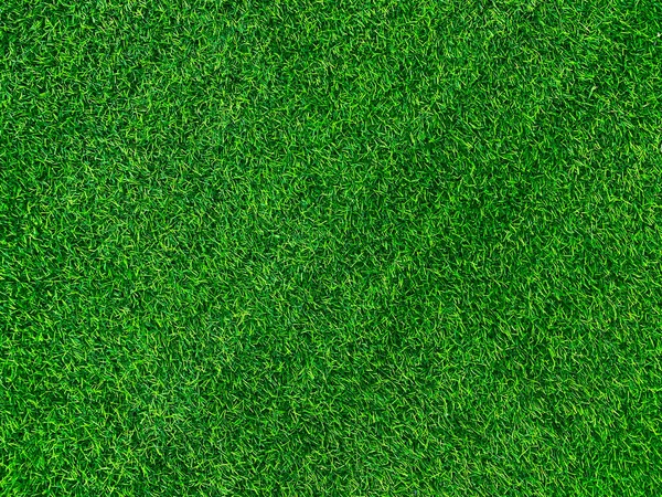 Green Grass Texture Background Grass Garden Concept Used Making Green — 스톡 사진
