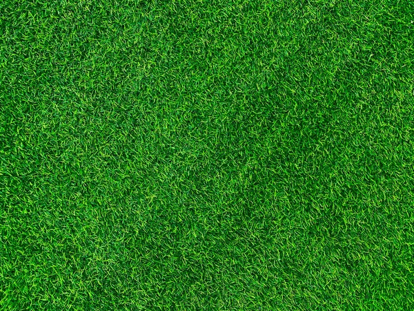 Green Grass Texture Background Grass Garden Concept Used Making Green — Fotografia de Stock