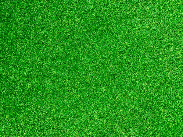 Green Grass Texture Background Grass Garden Concept Used Making Green — стоковое фото