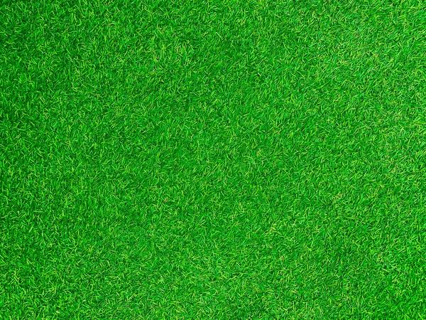 Green Grass Texture Background Grass Garden Concept Used Making Green — Stockfoto