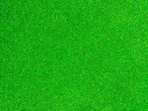 Green Grass Texture Background Grass Garden Concept Used Making Green — Stockfoto