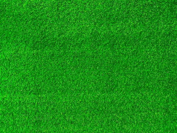 Green Grass Texture Background Grass Garden Concept Used Making Green — Photo