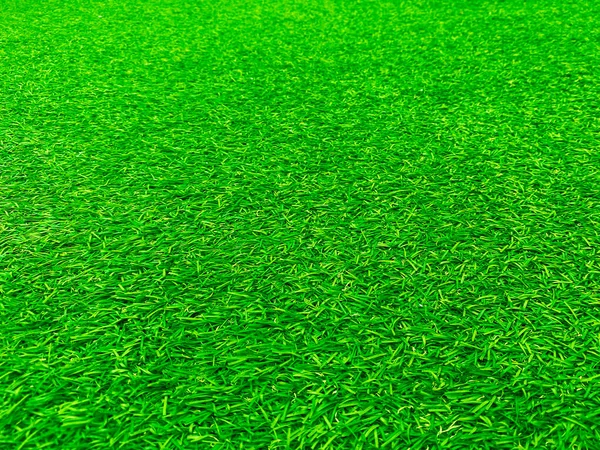 Green Grass Texture Background Grass Garden Concept Used Making Green — стокове фото