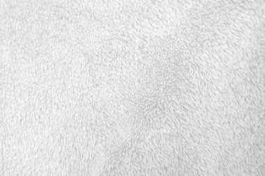 Beyaz, temiz yün dokusu arka planda. hafif doğal koyun yünü. Beyaz, pürüzsüz pamuk. Tasarımcılar için tüylü kürk dokusu. yakın plan beyaz yün halı...