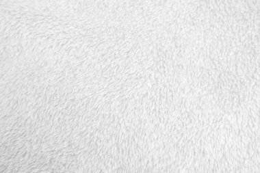 Beyaz, temiz yün dokusu arka planda. hafif doğal koyun yünü. Beyaz, pürüzsüz pamuk. Tasarımcılar için tüylü kürk dokusu. yakın plan beyaz yün halı...