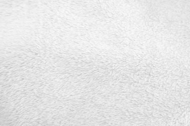 White clean wool texture background. light natural sheep wool. white seamless cotton. texture of fluffy fur for designers. close-up fragment white wool carpet.	